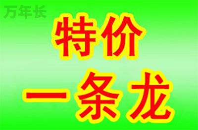广东省台山市斗山镇陵园有哪些优惠政策？